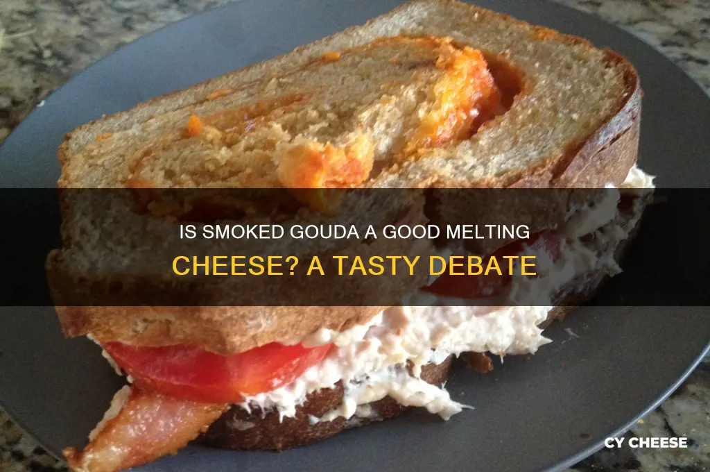 is smoked gouda a good melting cheese