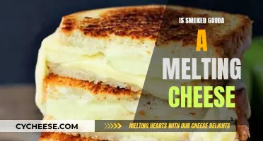Smoked Gouda: Melting Cheese or Not?