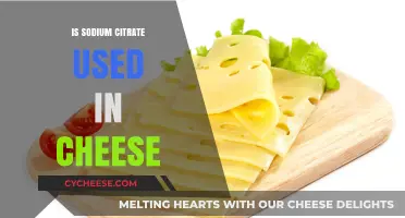The Science Behind Sodium Citrate in Cheese