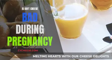 Cheese and Pregnancy: What's Safe?