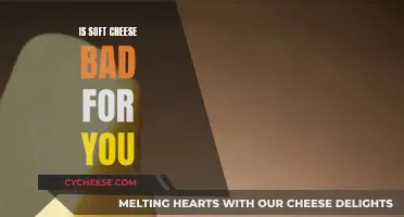 Soft Cheese: Healthy or Harmful?