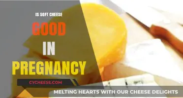 Soft Cheese in Pregnancy: Safe or Risky? Expert Advice
