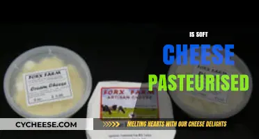 Is Soft Cheese Pasteurized? Understanding Safety and Varieties