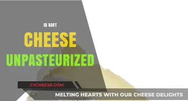 Is Soft Cheese Unpasteurized? Understanding Risks and Safe Consumption