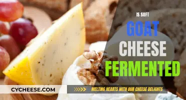 Goat Cheese Fermentation: A Soft, Tangy Delicacy