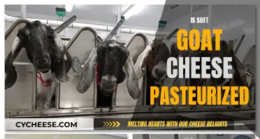 Goat Cheese Pasteurization: Soft Cheeses and Safety Concerns