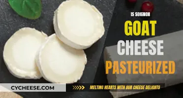 Goat Cheese Conundrum: Is Soignon Pasteurized?