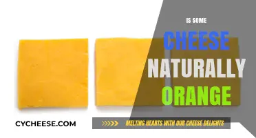 Is Cheese Naturally Orange? Uncovering the Truth Behind the Color