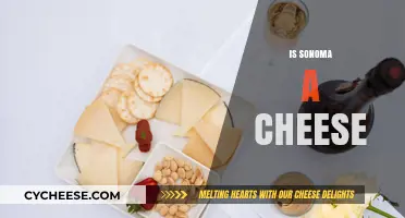 Is Sonoma a Cheese? Unraveling the Confusion Behind the Name