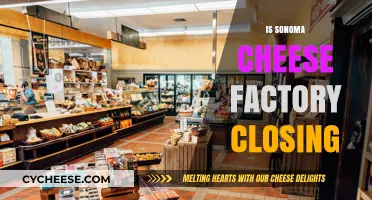 Is Sonoma Cheese Factory Closing? Unraveling the Rumors and Facts