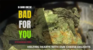 Sour Cheese: Healthy or Harmful?