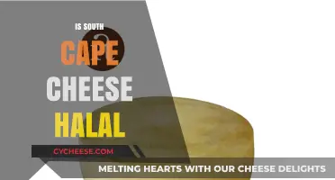Is South Cape Cheese Halal? A Comprehensive Guide for Consumers