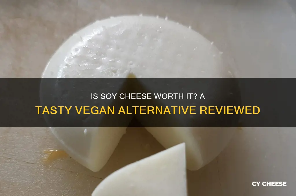 is soy cheese any good