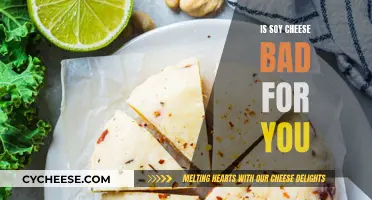 Soy Cheese: Healthy or Harmful?