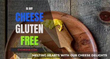 Soy Cheese: A Gluten-Free Option?