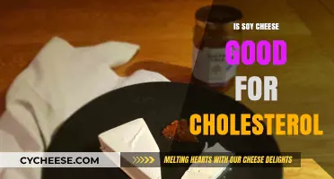 Soy Cheese and Cholesterol: A Heart-Healthy Alternative or Myth?