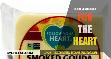 Soy Cheese and Heart Health: Benefits, Risks, and Nutritional Insights