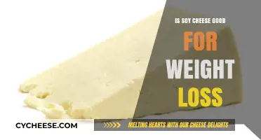 Soy Cheese and Weight Loss: A Healthy Alternative or Myth?
