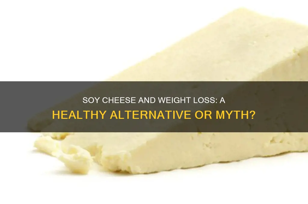 is soy cheese good for weight loss