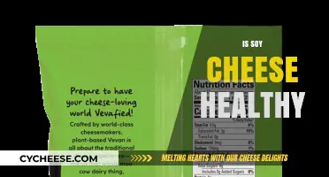 Soy Cheese: Healthy or Unhealthy?