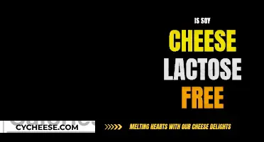 Soy Cheese: Lactose-Free Alternative