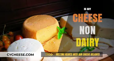 Is Soy Cheese Non-Dairy? Unraveling the Truth for Vegan Diets