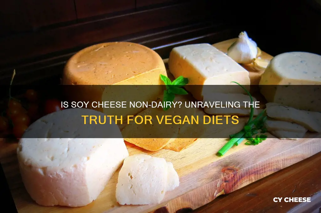 is soy cheese non dairy