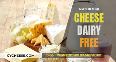 Vegan Cheese: Soy-Free and Dairy-Free?