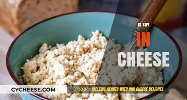 Is Soy in Cheese? Uncovering Ingredients and Label Truths
