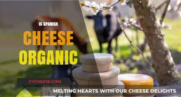 Exploring Spanish Cheese: Organic Practices and Artisan Traditions Revealed
