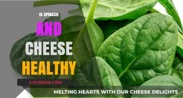 Spinach and Cheese: Healthy or Not?