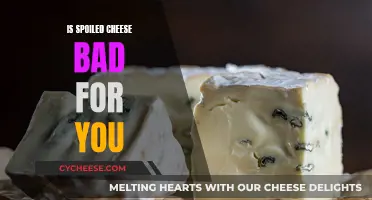 Spoiled Cheese: Is It Safe to Eat?