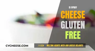 Spray Cheese: Gluten-Free and Delicious