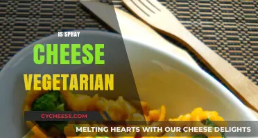 Is Spray Cheese Vegetarian? Uncovering the Truth Behind the Can