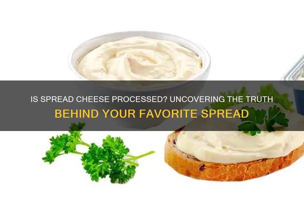 is spread cheese processed