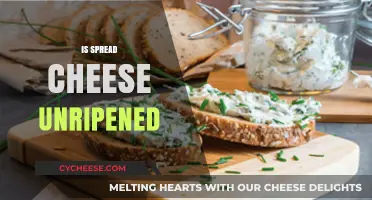 Is Spread Cheese Unripened? Exploring the Truth Behind This Dairy Delight