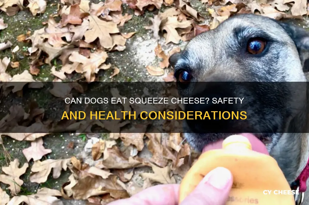 is squeeze cheese good for dogs