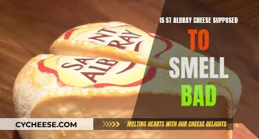 Stinky Delicacy: Why Does St. Albray Cheese Smell So Bad?