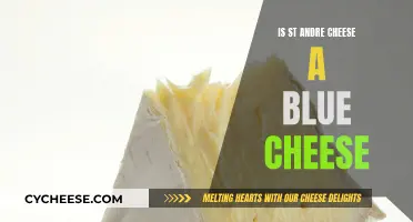 St. Andre Cheese: Blue or Not?