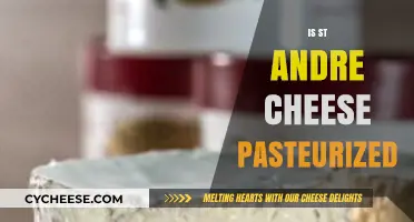 Is St. Andre Cheese Pasteurized? A Creamy Cheese Guide