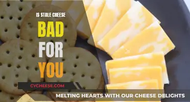 Cheese Gone Bad: Is Stale Cheese Safe to Eat?