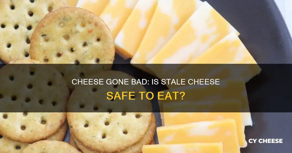 is stale cheese bad for you
