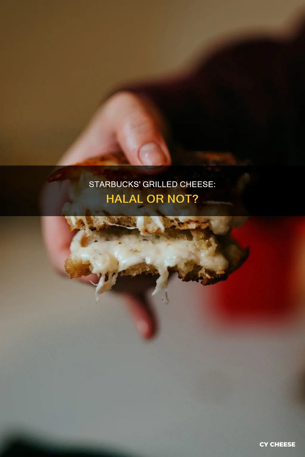 is starbucks grilled cheese halal