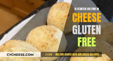 Gluten-Free Cheese: The Role of Starter Cultures