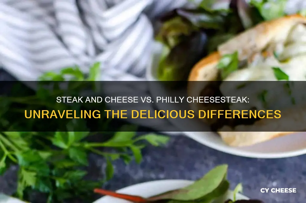 is steak and cheese the same as philly steak