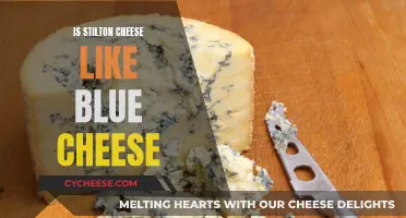 Stilton and Blue Cheese: What's the Difference?
