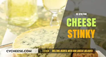 Is Stilton Cheese Stinky? Unraveling the Aromatic Mystery of This Classic Blue Cheese
