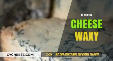 Is Stilton Cheese Waxy? Texture Truths and Tasting Tips