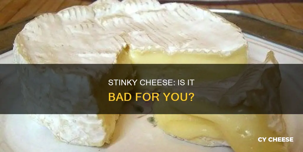 is stinky cheese bad