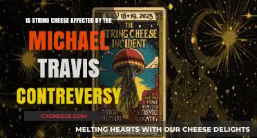 String Cheese Impact: Michael Travis Controversy's Unexpected Ripple Effect